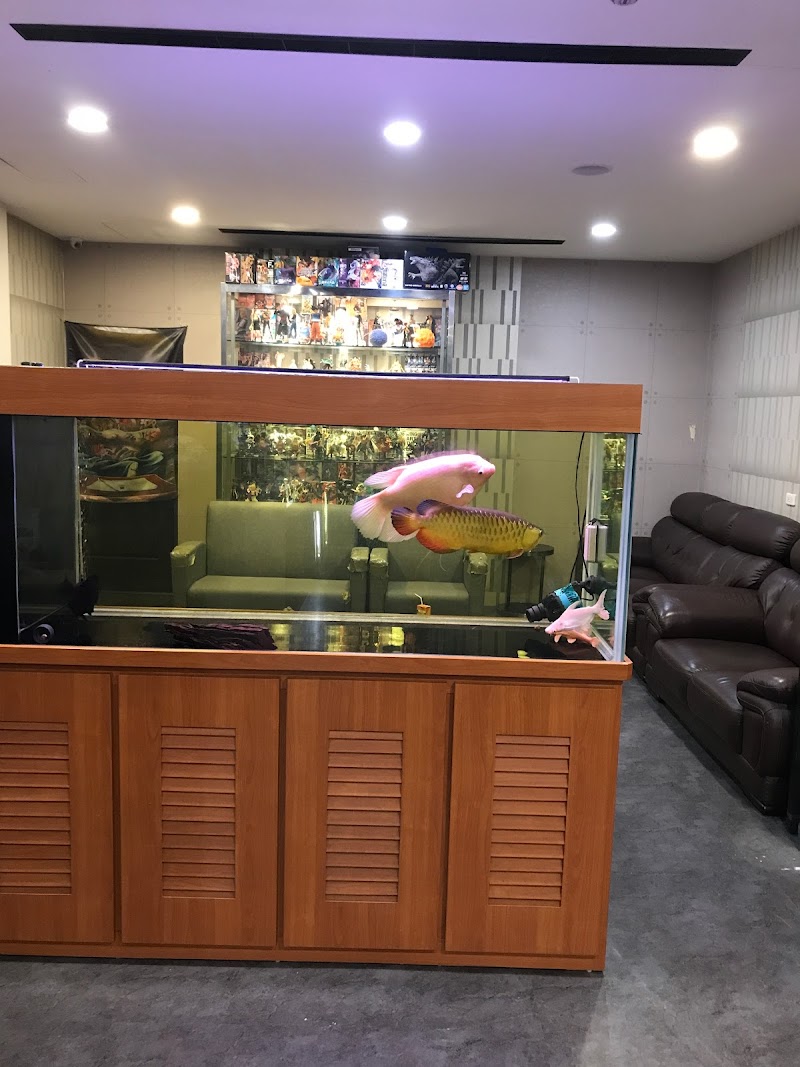 店家照片 5