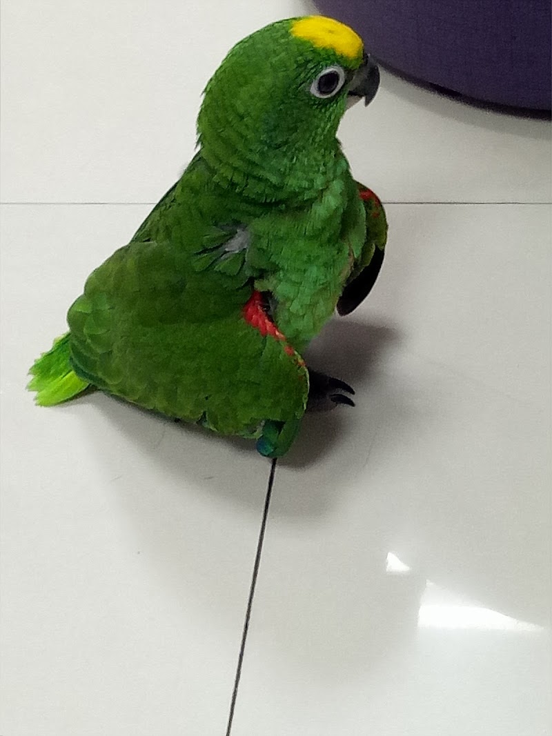 店家照片 3