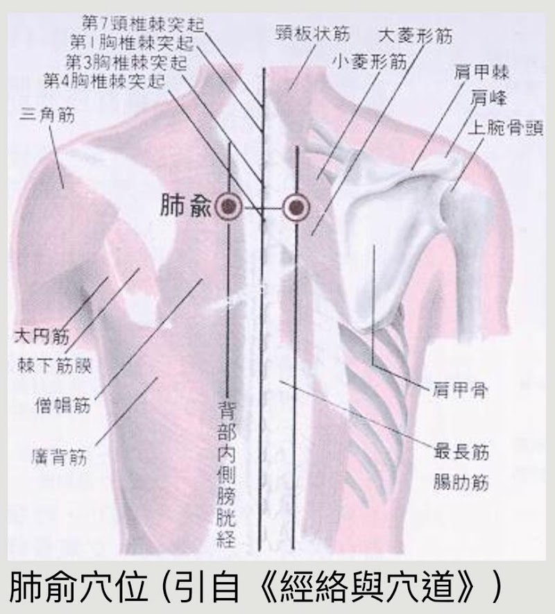 店家照片 4