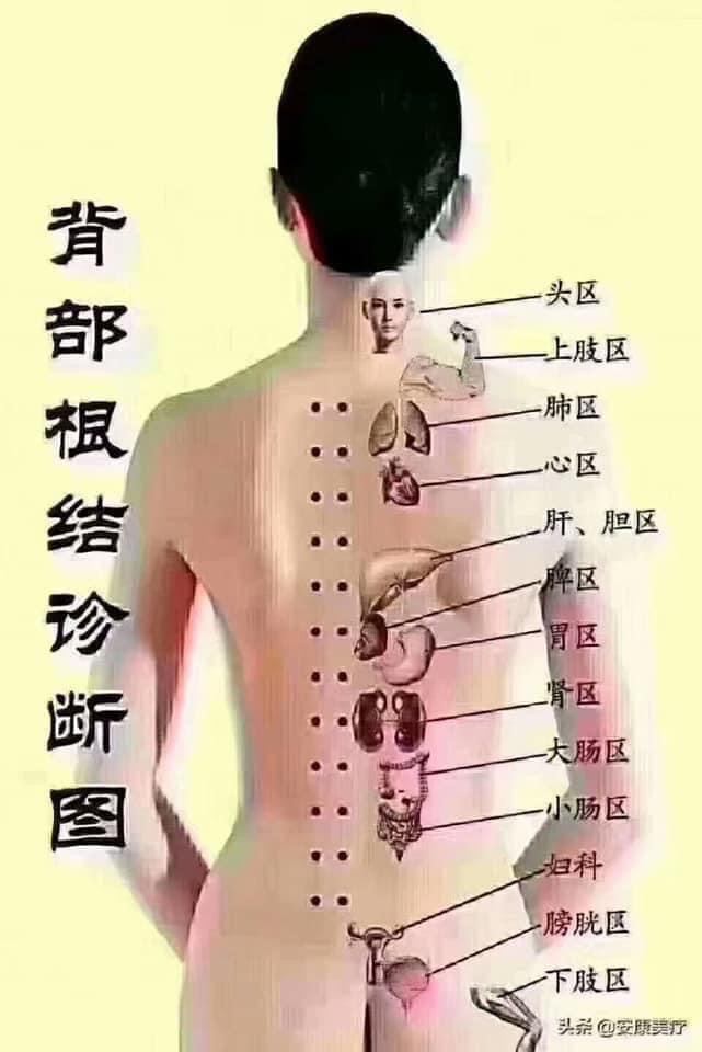 店家照片 8