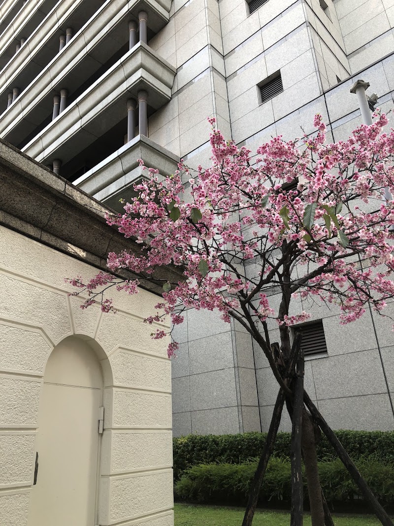 沐禾軒足體養生會館 - 店家實景照片 2 - 台北