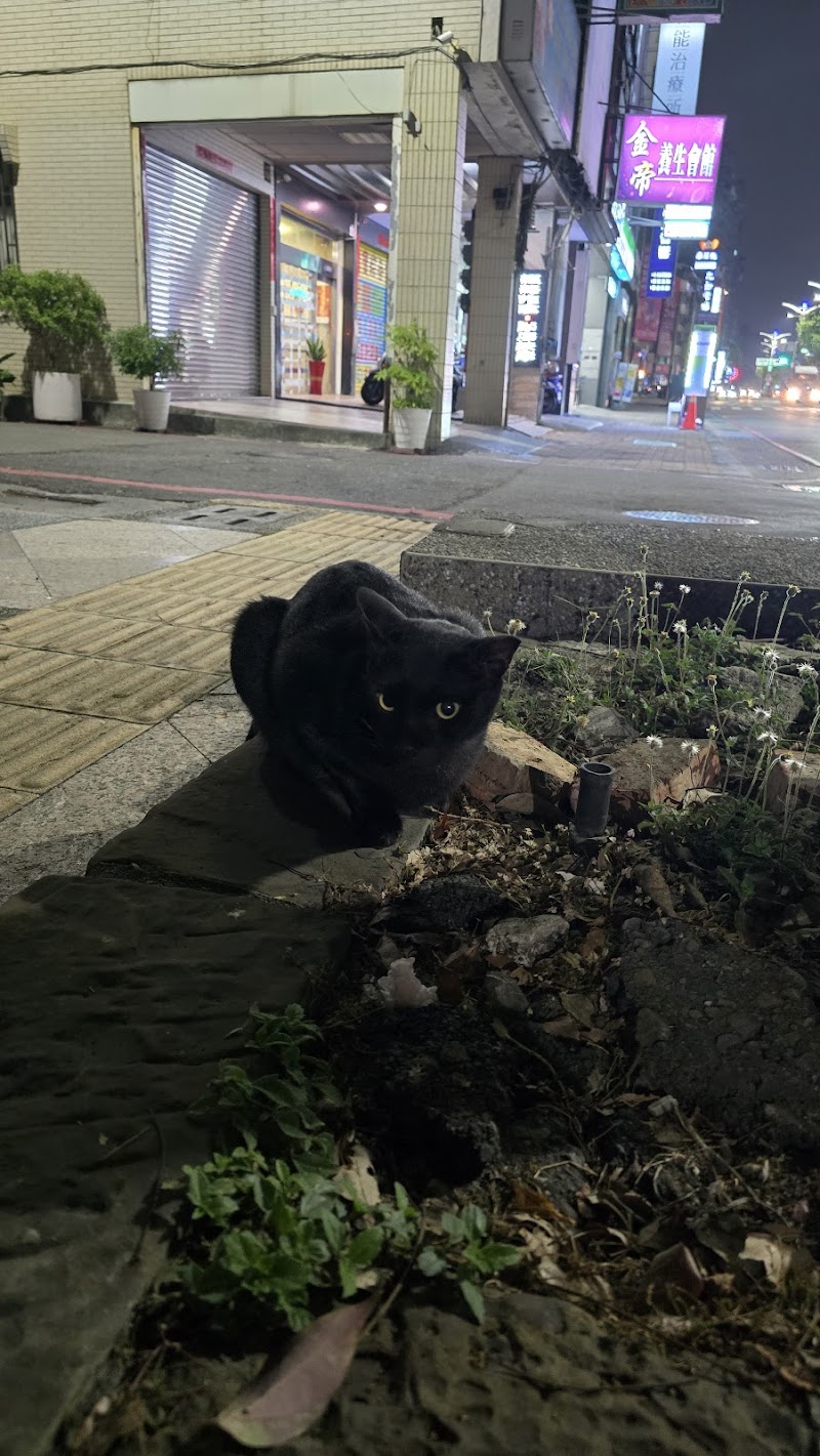 金帝養生會館 - 店家實景照片 1 - 高雄