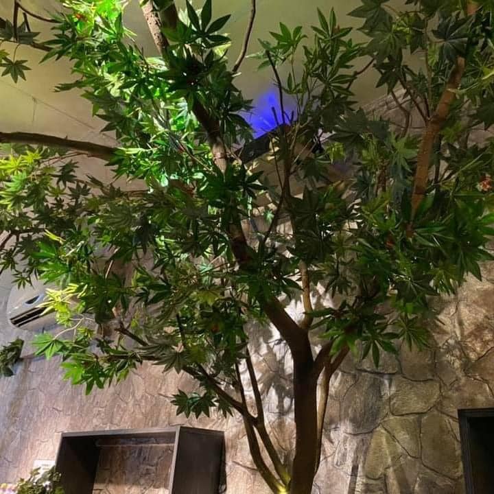 十八男女會館-西門店 - 店家實景照片 7 - 台北