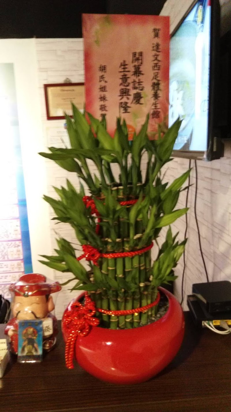 達文西足體保健養生會館 - 店家實景照片 6 - 新北