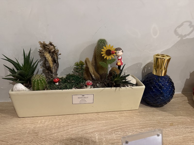 大都會足體養生按摩會館 - 店家實景照片 8 - 新北