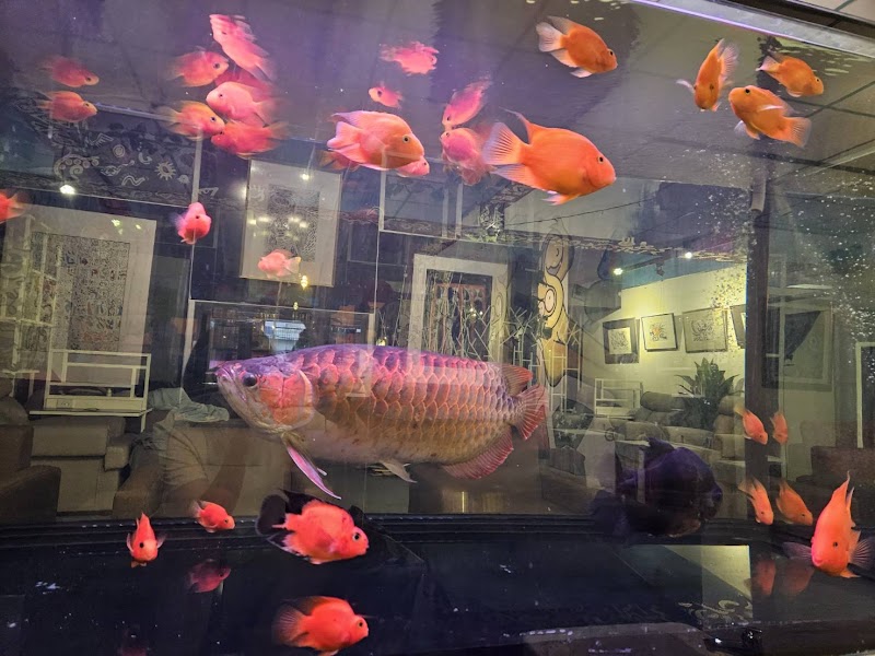瑪瑪足體養生館店家實景照片1 - 花蓮