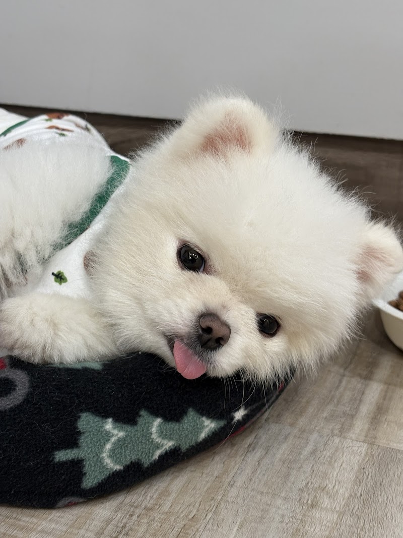 店家照片 1