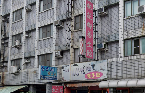 桃花梅養生館店家照片