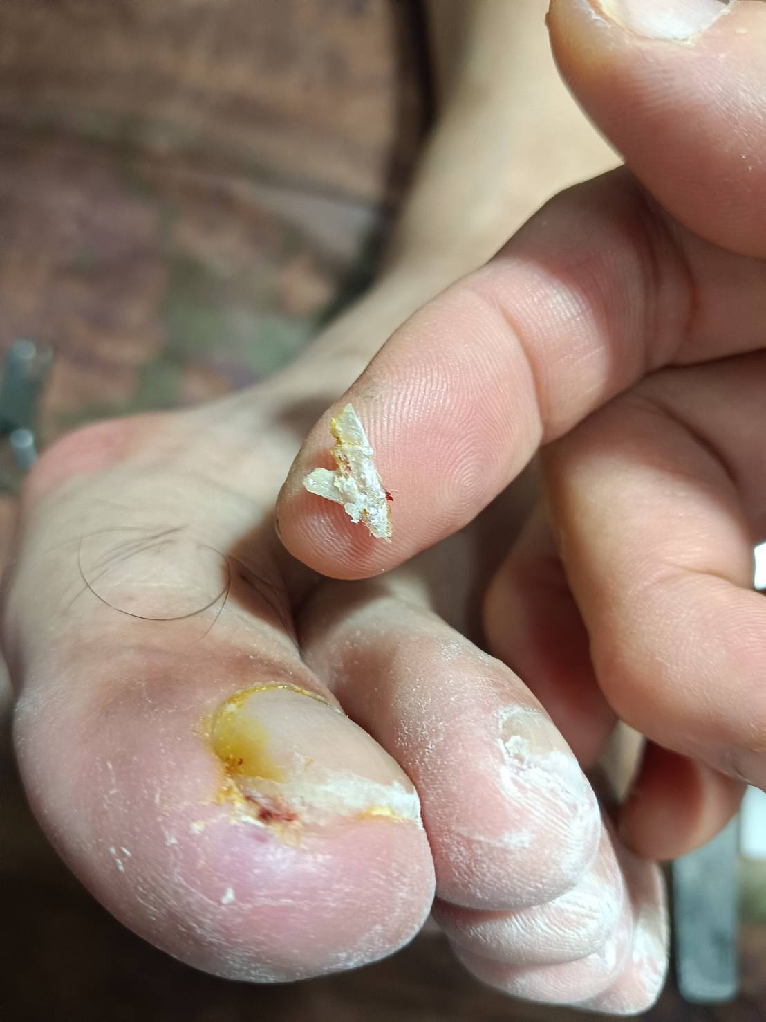 霖按摩修腳工作室 - 店家實景照片 4 - 台南